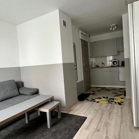 Mlawska 33 Apartamento Rypin Exterior foto