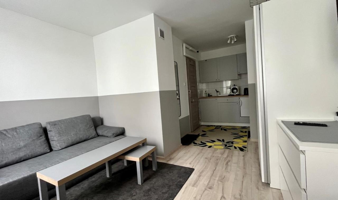 Mlawska 33 Apartamento Rypin Exterior foto